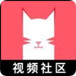 猫咪视频官方片库配图